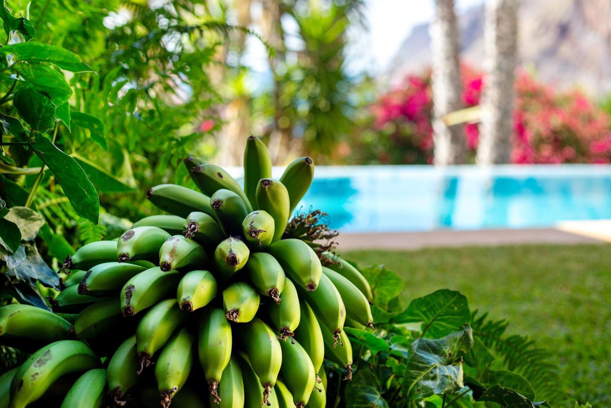 Bela Vigia Βίλα Jardim do Mar Εξωτερικό φωτογραφία